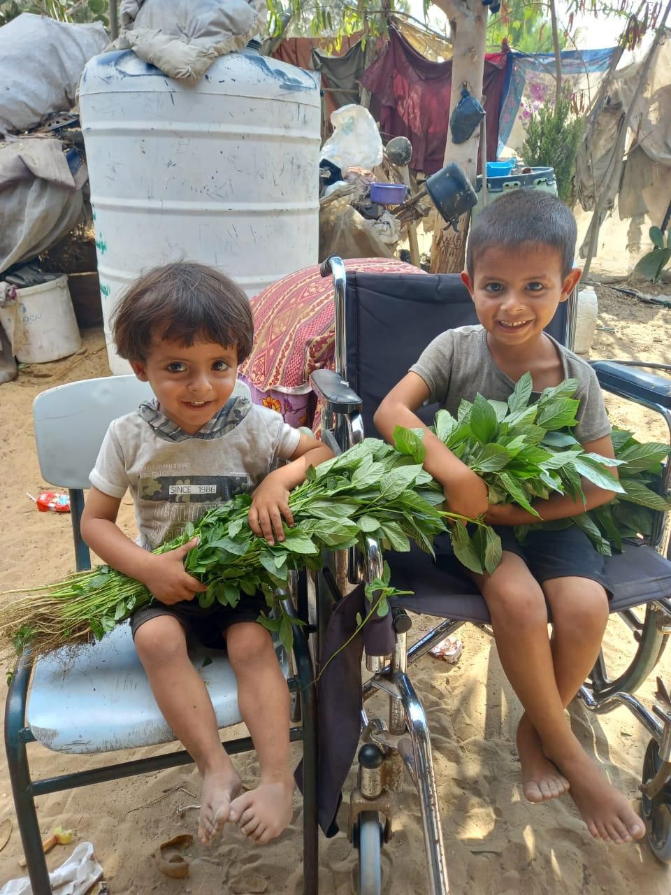 Image: Two boys in Gaza holding molokheya received from ISNAD